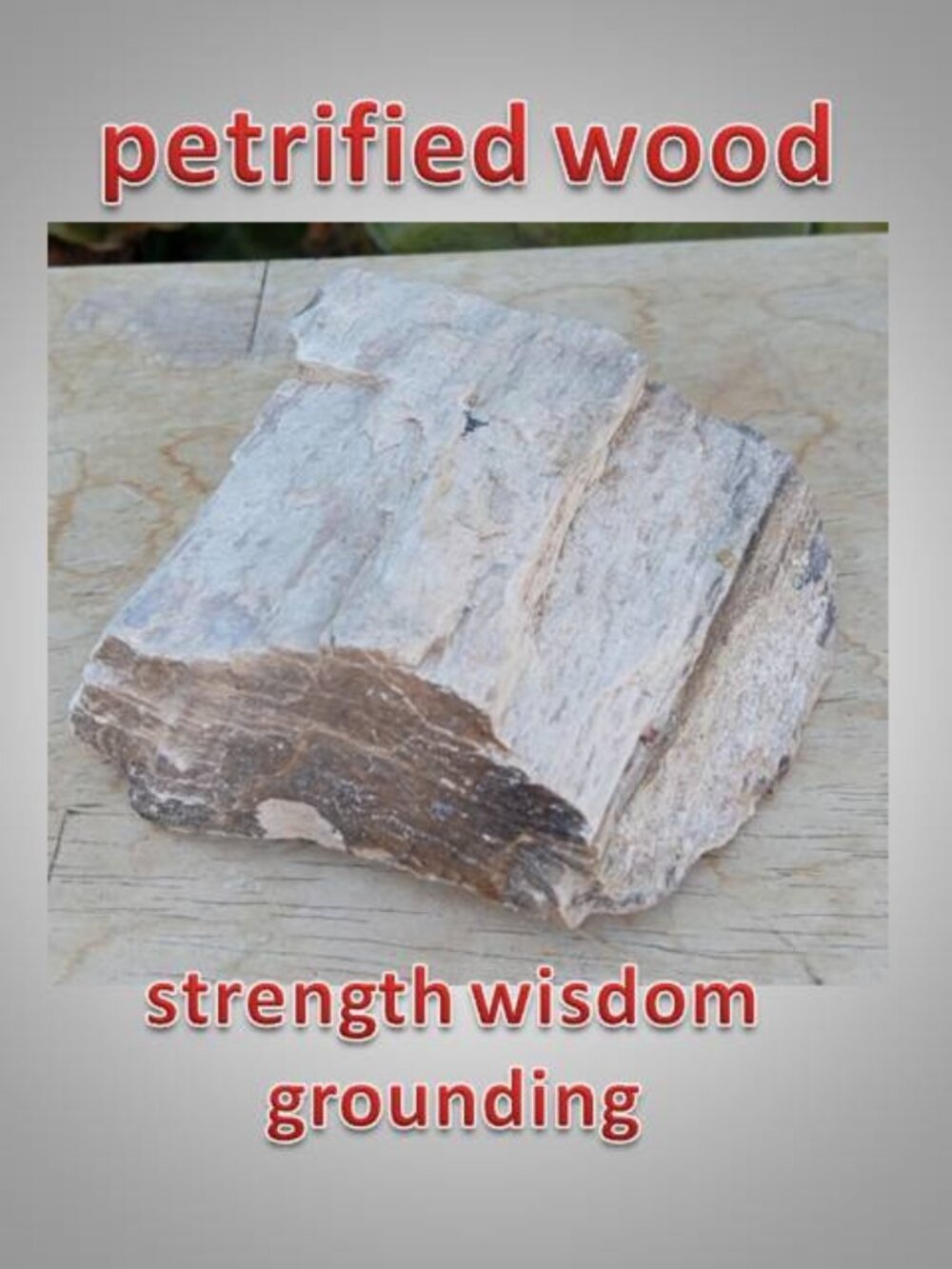 #6 Petrified Wood chunk stone fossil Fortune Strength Calmness